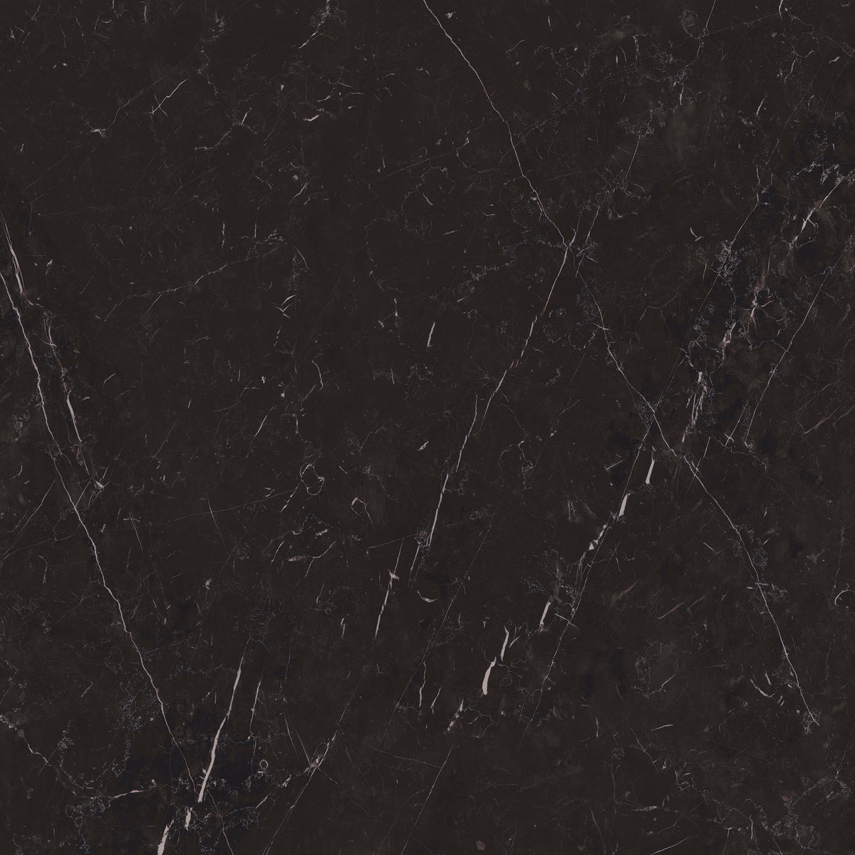 Magnifica Marquinia Natural Black Marble Effect Matt Porcelain Tile