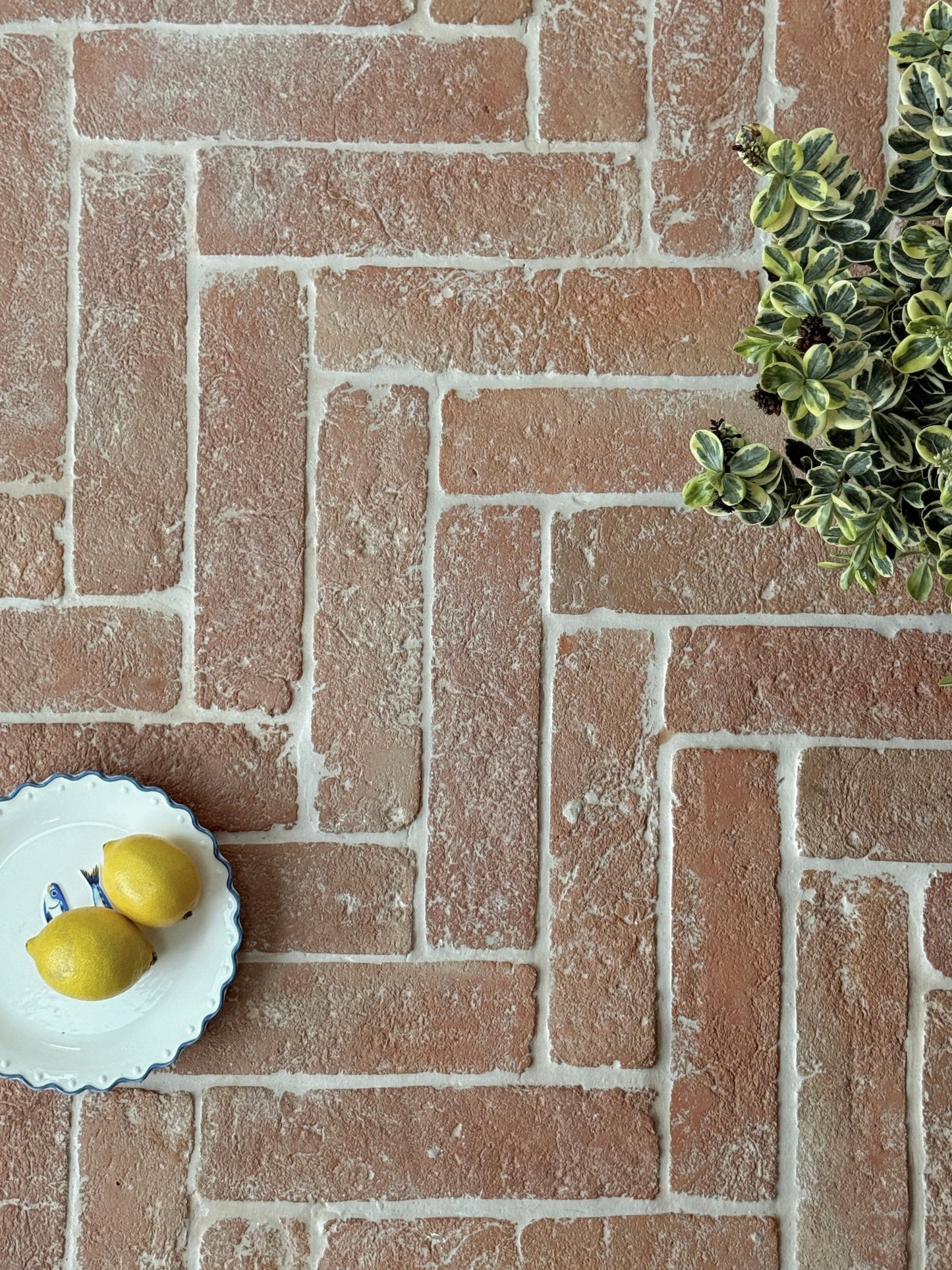 How Best to Seal and Maintain my Terracotta Tiles