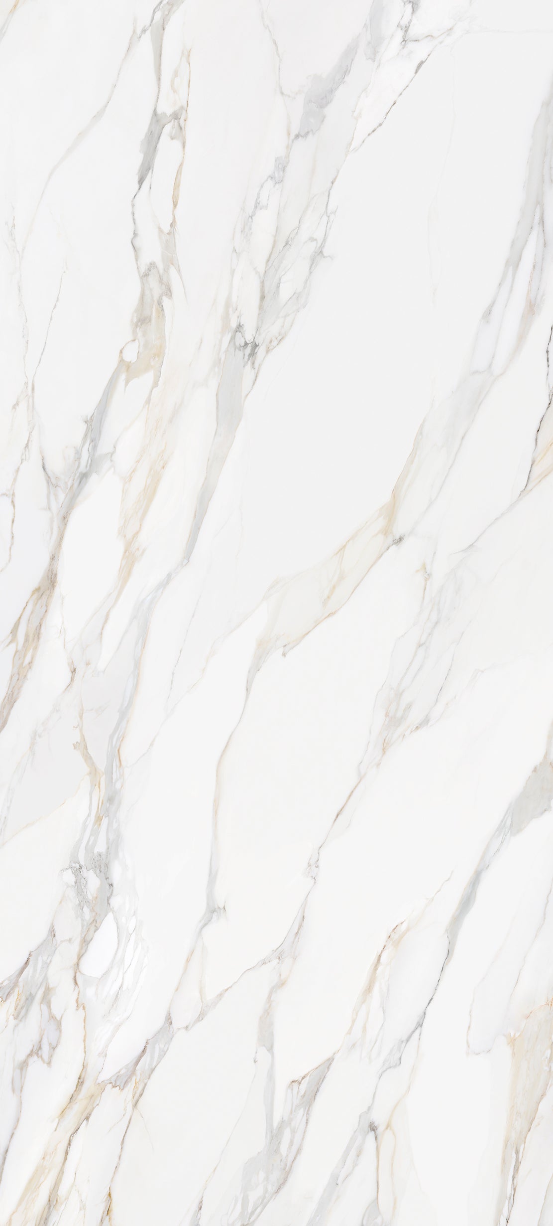 aurora-calacatta-slab-polished