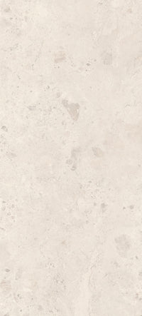 Breccia Ceppo Bone Natural Slab