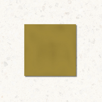 Argilla Mustard Gloss