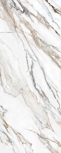 Calacatta Paonazzo Honed