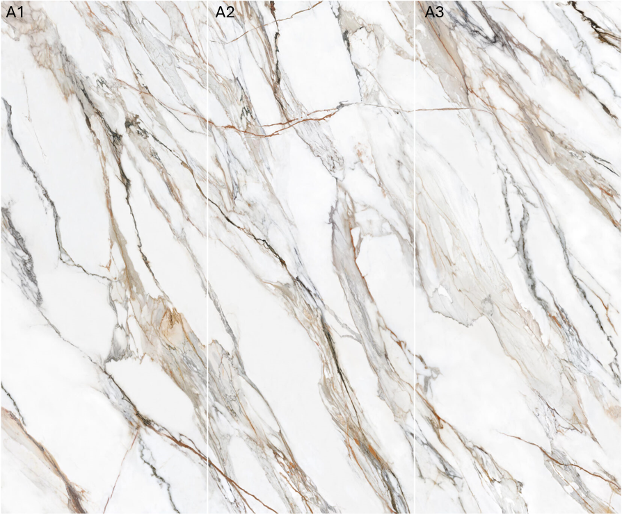 Calacatta Paonazzo Polished