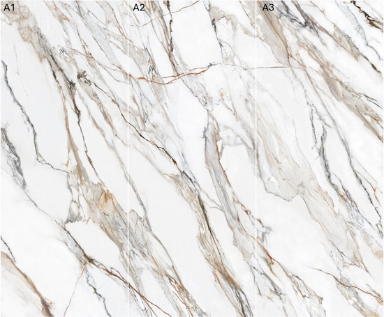 Calacatta Paonazzo Polished