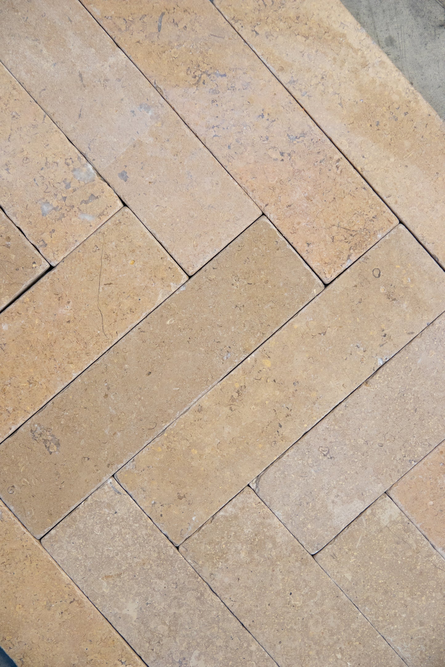 Selborne Limestone Tumbled Finish Brick