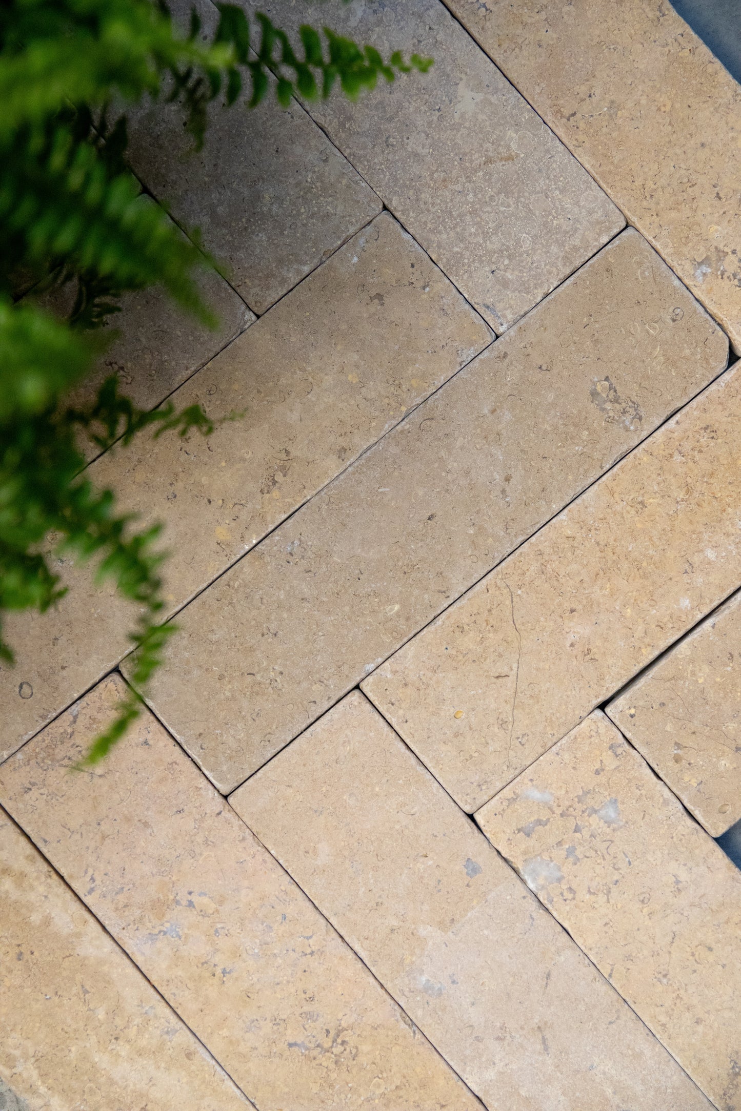 Selborne Limestone Tumbled Finish Brick