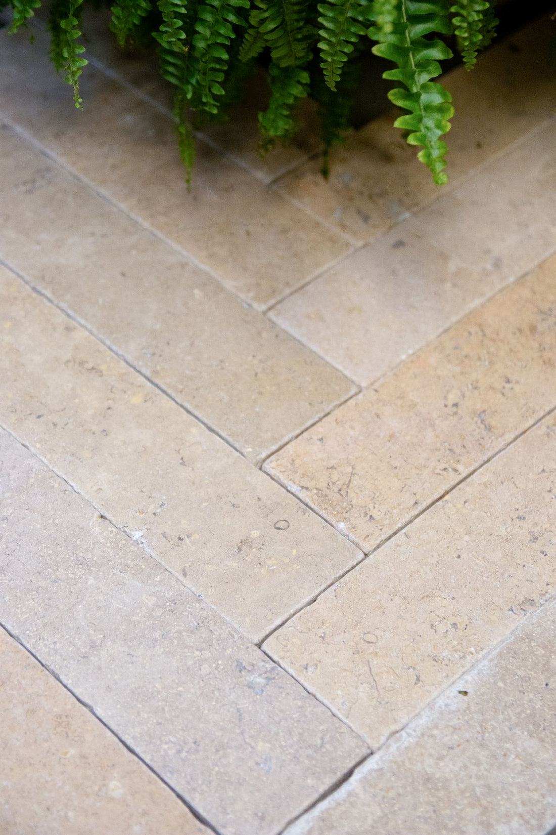 Selborne Limestone Tumbled Finish Brick - Cream/Off-White Limestone ...