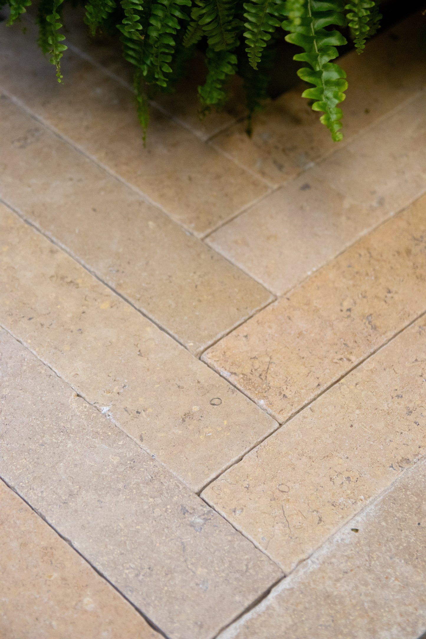 Selborne Limestone Tumbled Finish Brick