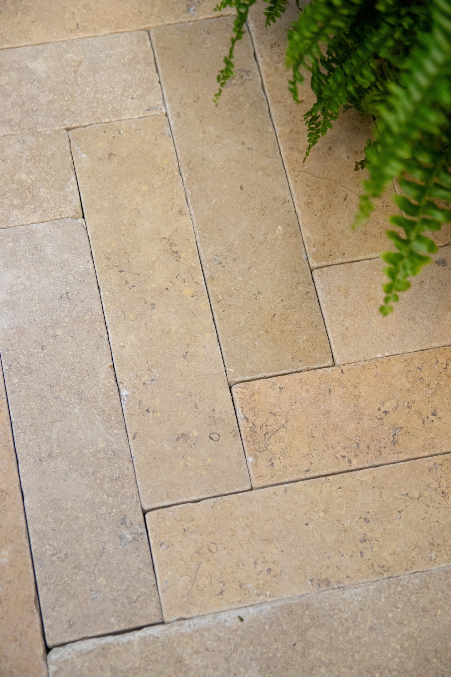 Selborne Limestone Tumbled Finish Brick