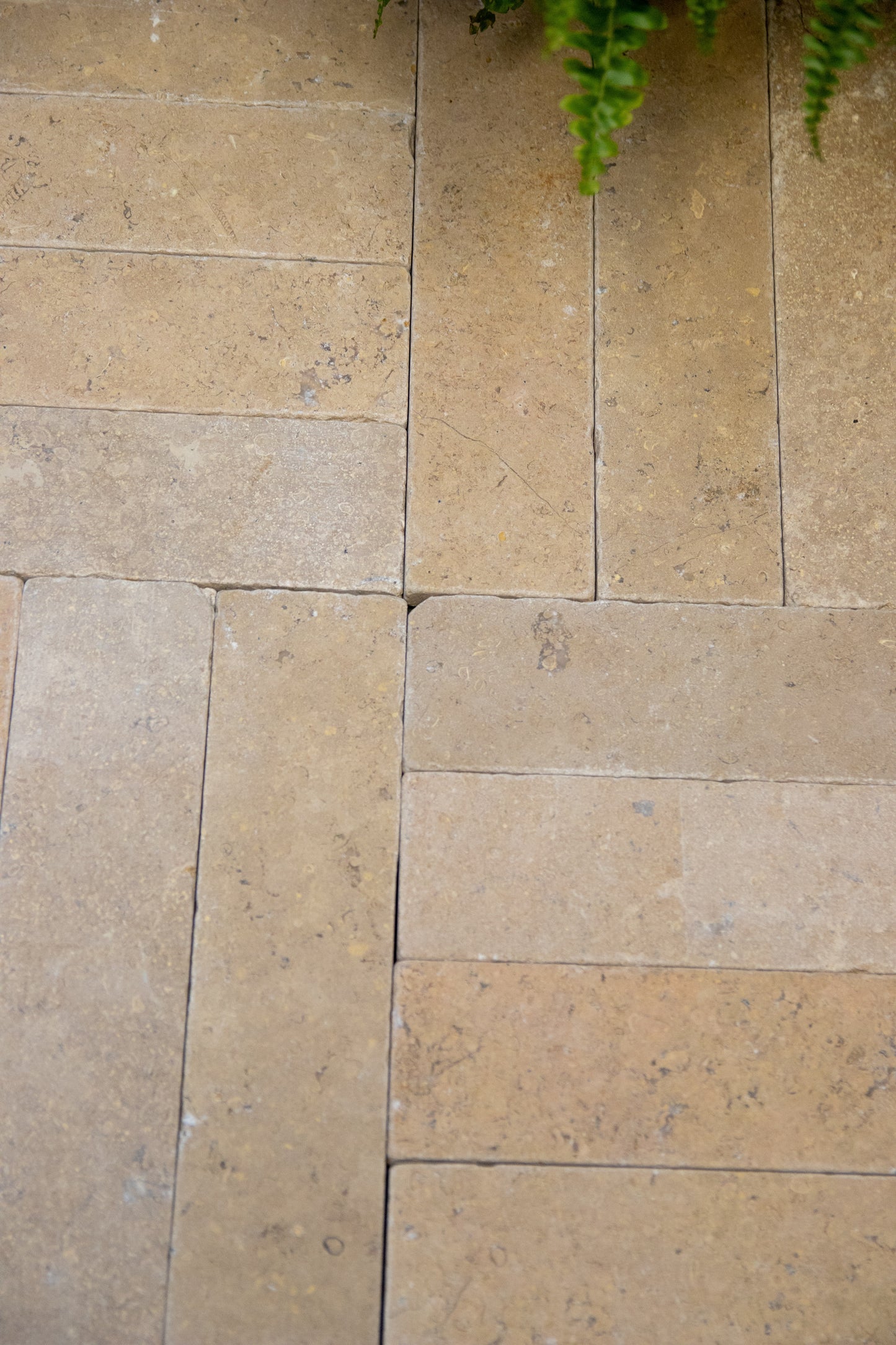Selborne Limestone Tumbled Finish Brick