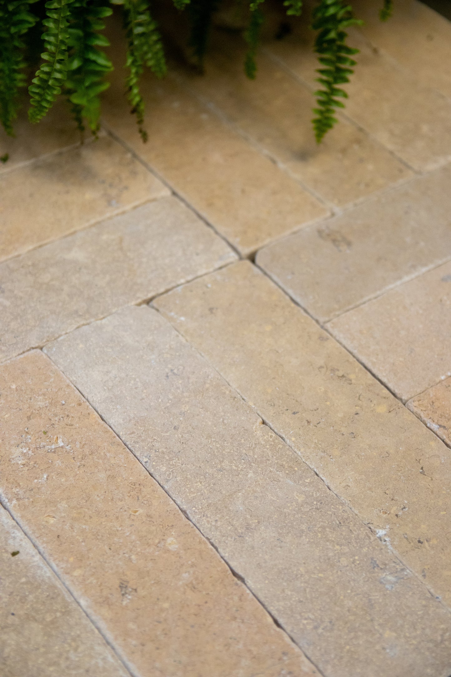 Selborne Limestone Tumbled Finish Brick