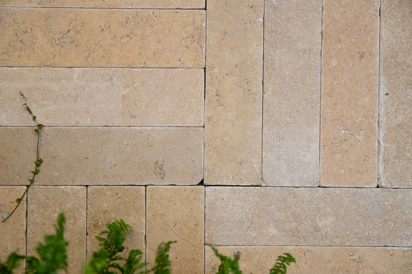 Selborne Limestone Tumbled Finish Brick