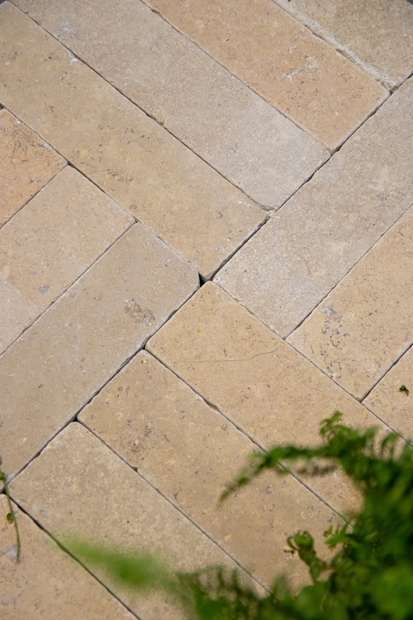 Selborne Limestone Tumbled Finish Brick