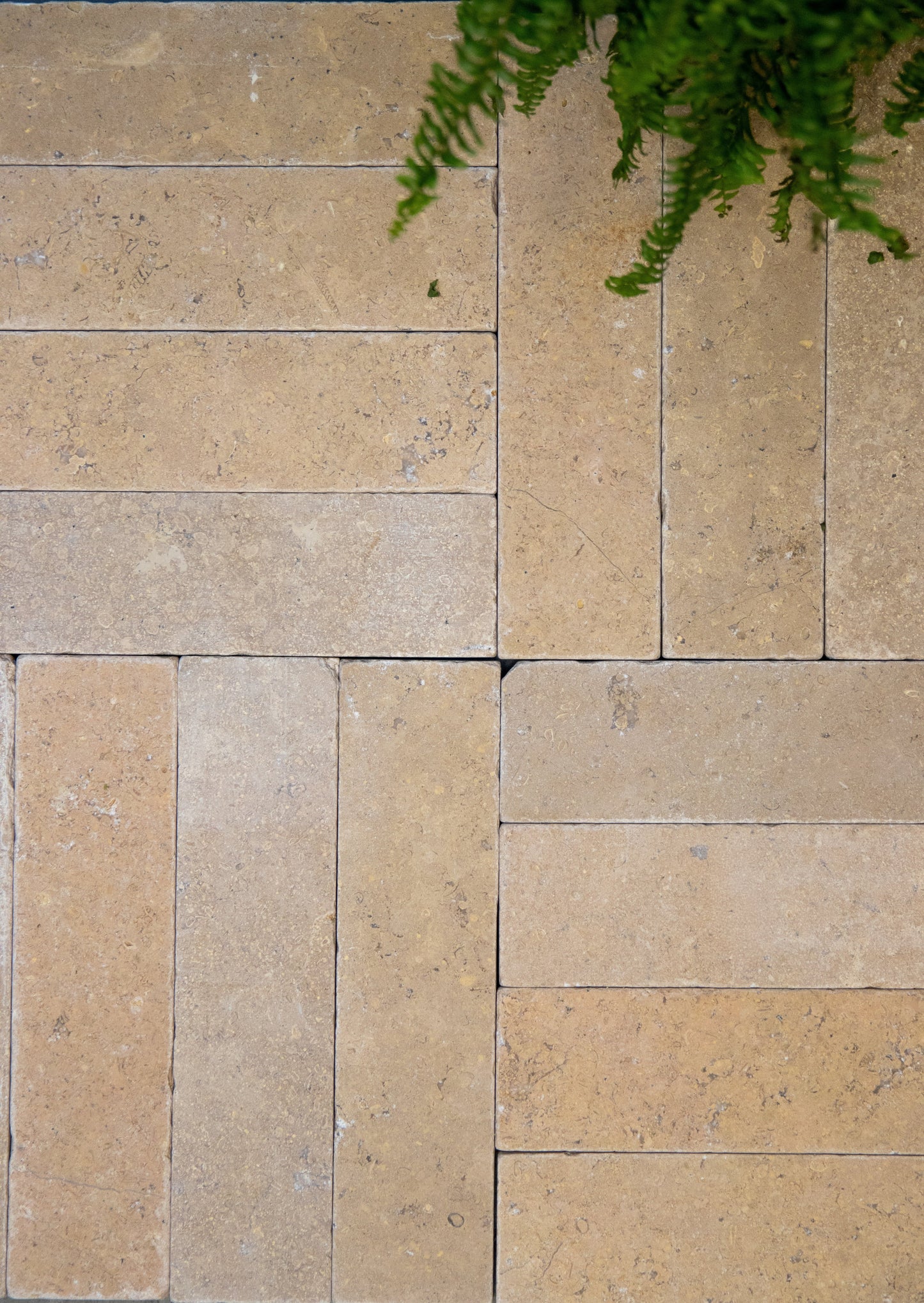 Selborne Limestone Tumbled Finish Brick