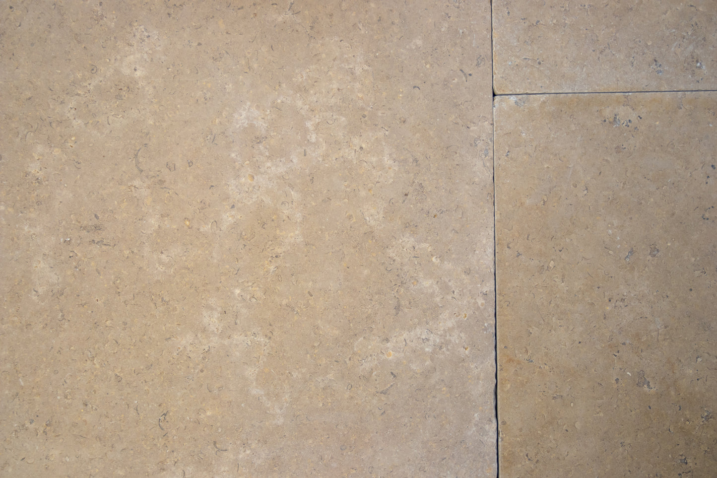 Selborne Limestone Tumbled Finish