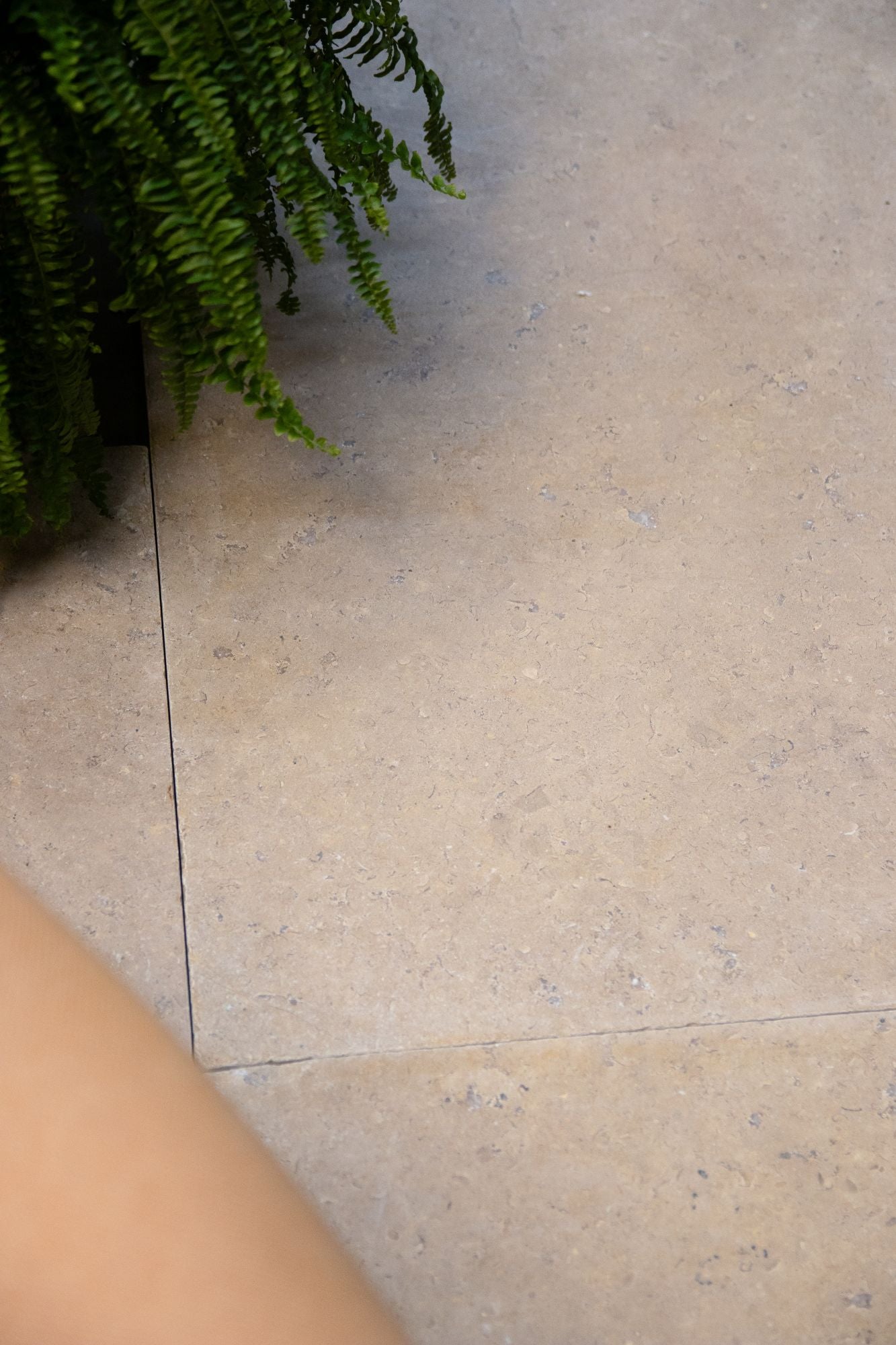 Selborne Limestone Tumbled Finish