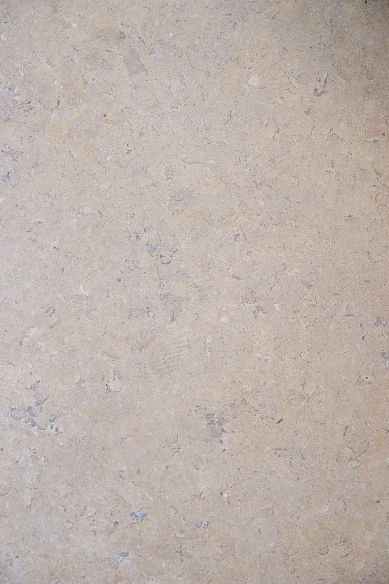 Selborne Limestone Tumbled Finish