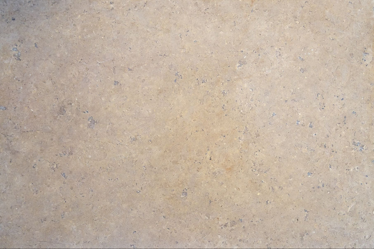 Selborne Limestone Tumbled Finish