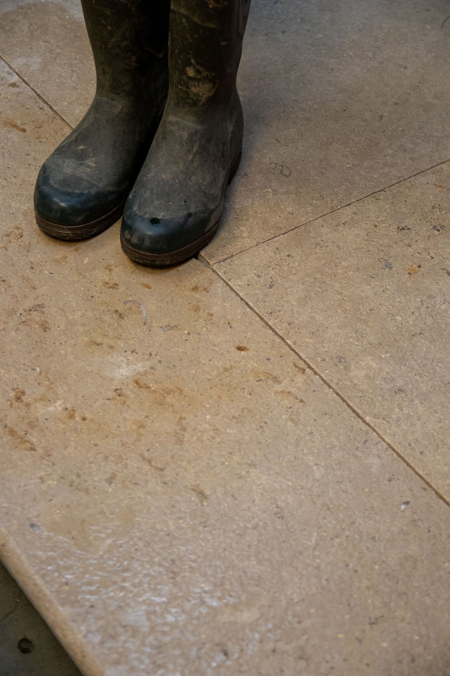 Selborne Limestone Tumbled & Etched Finish