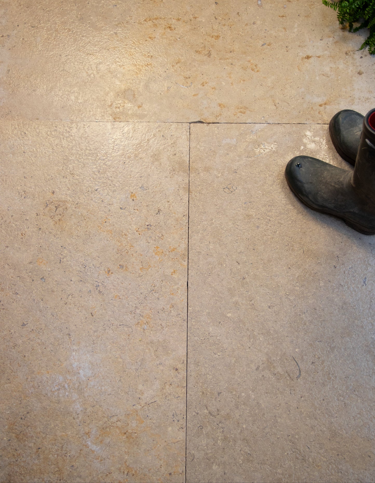 Selborne Limestone Tumbled & Etched Finish