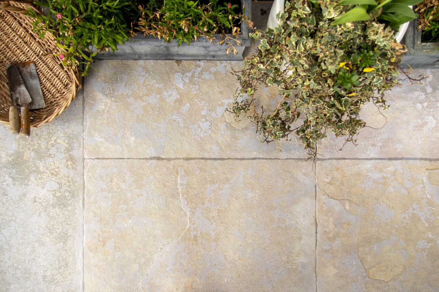 Elkstone Yellow Worn & Tumbled