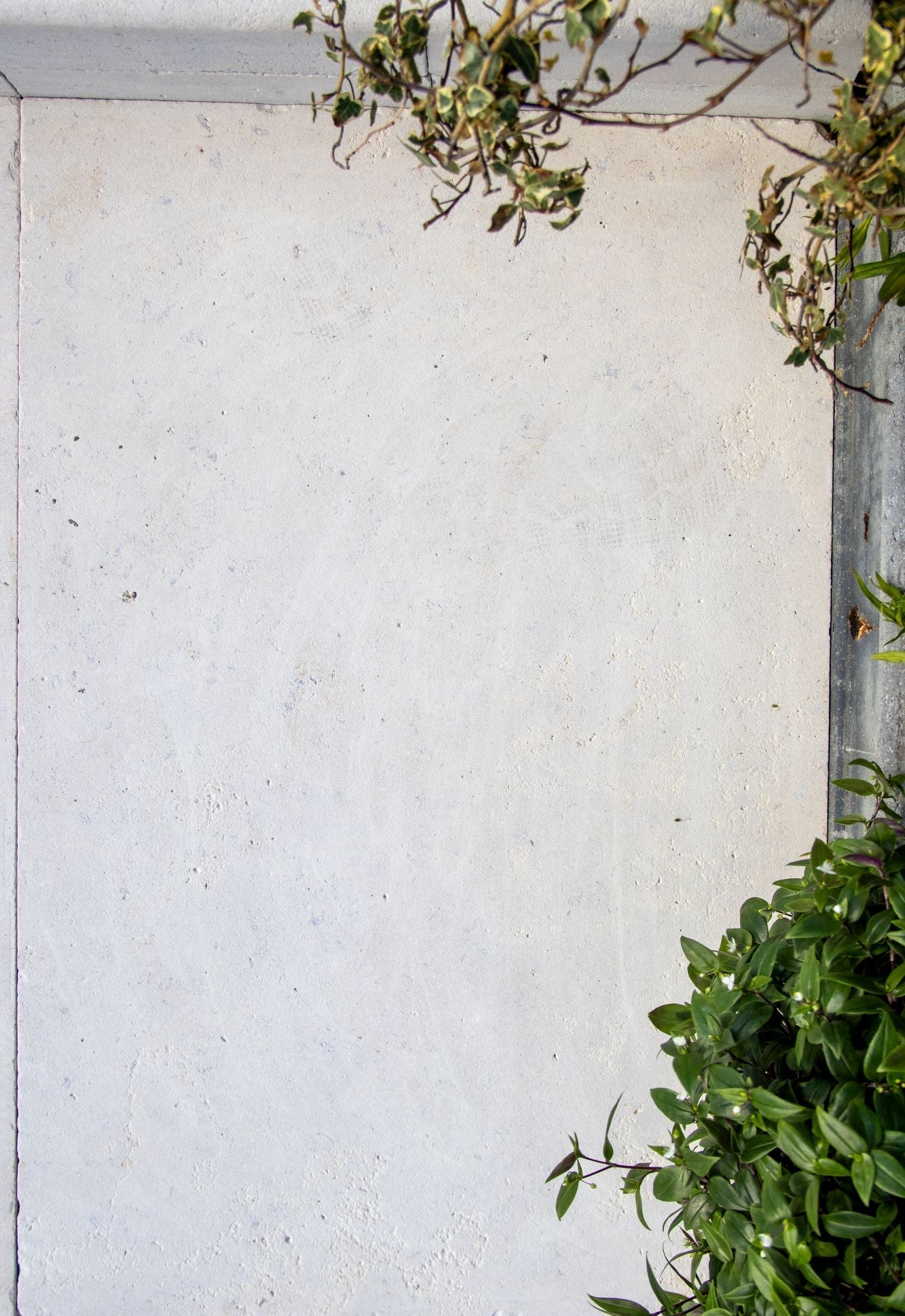 Selborne Limestone Weathered Finish