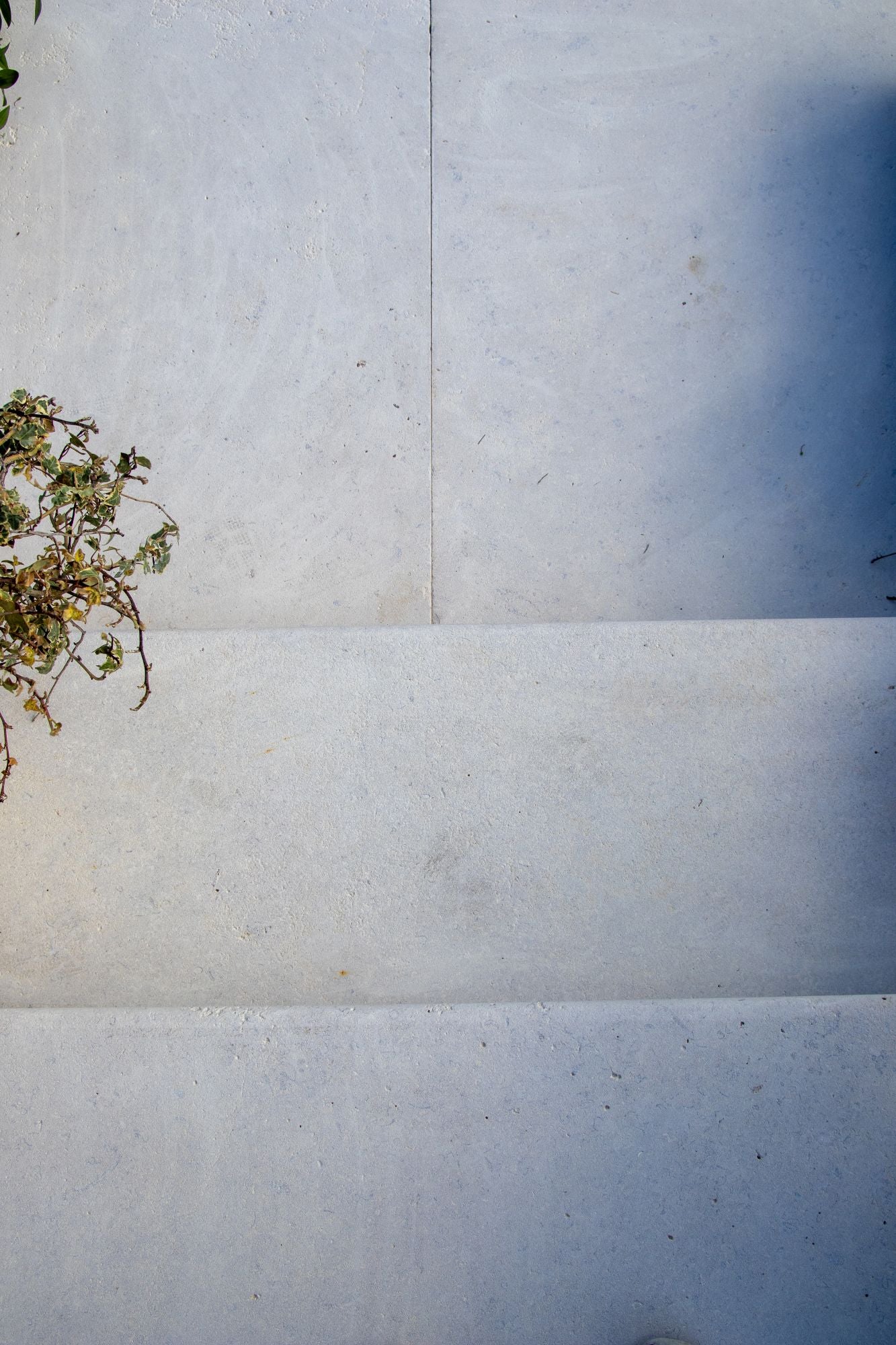 Selborne Limestone Bullnose Step Weathered Finish with Rain Drip