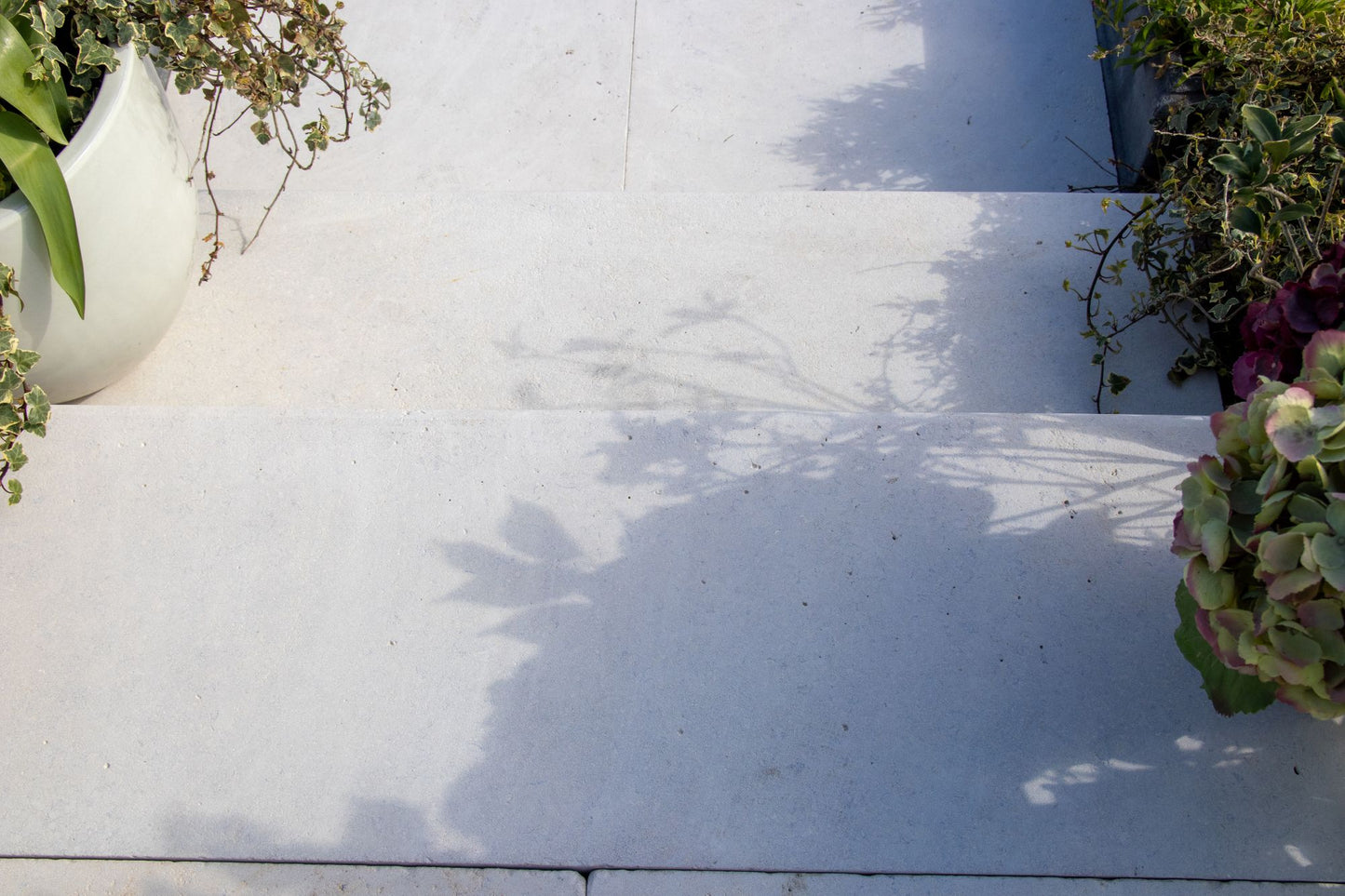 Selborne Limestone Weathered Finish