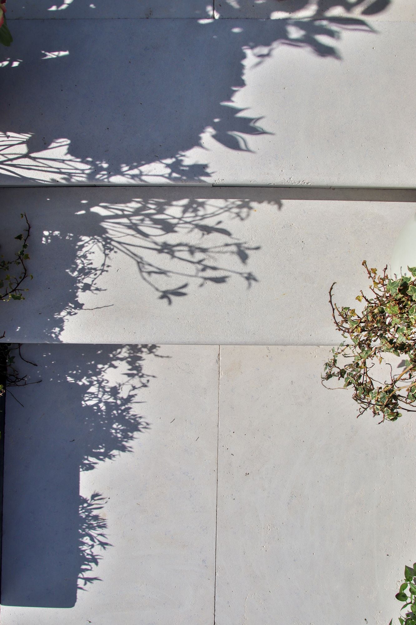 Selborne Limestone Bullnose Step Weathered Finish with Rain Drip