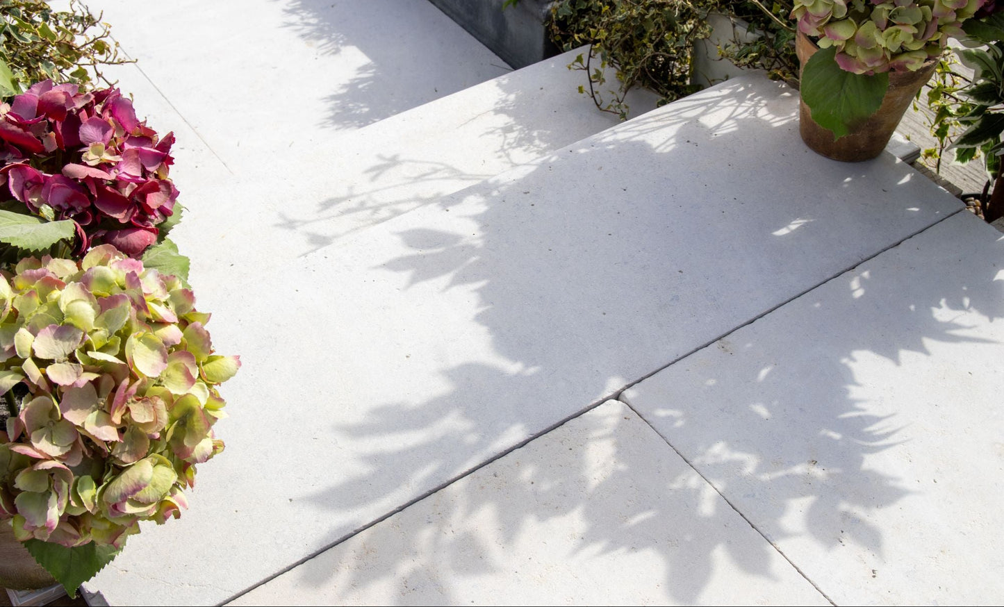 Selborne Limestone Bullnose Step Weathered Finish with Rain Drip
