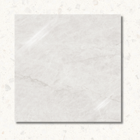 Taj Mahal White Polished
