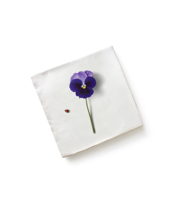 Load image into Gallery viewer, Angove Menagerie Ceramic Pansy
