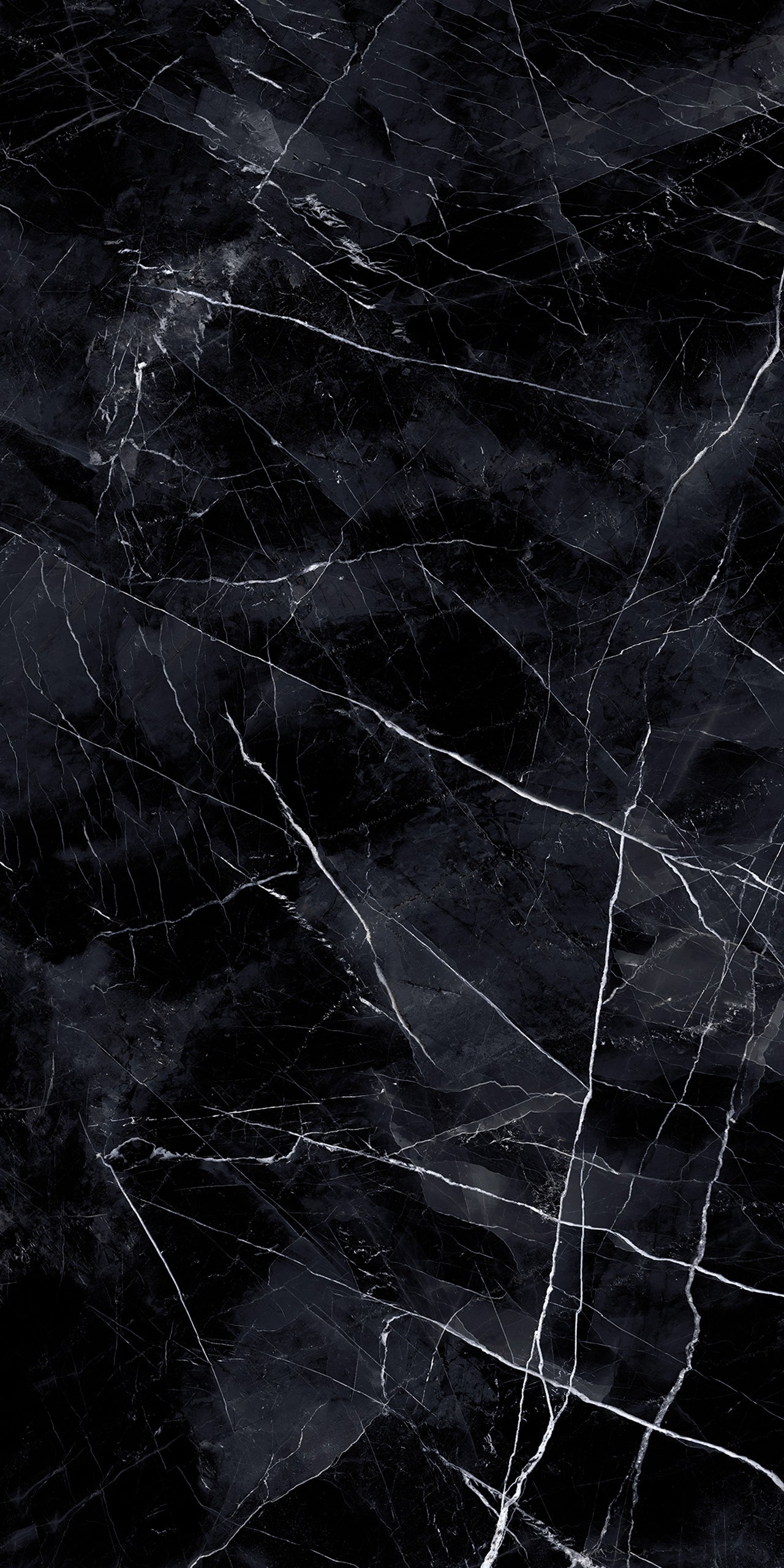 Marmi Calacatta Black (Full Lappato)