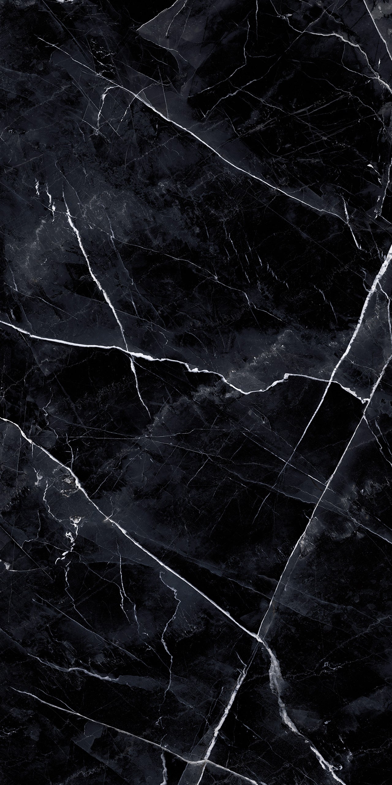 Marmi Calacatta Black (Full Lappato)