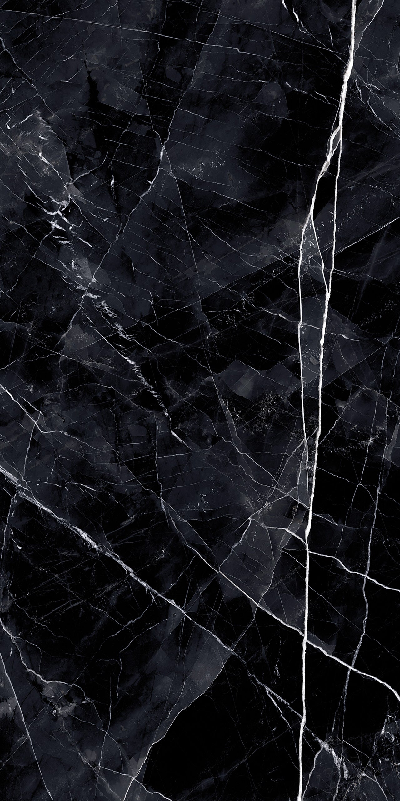 Marmi Calacatta Black (Full Lappato)