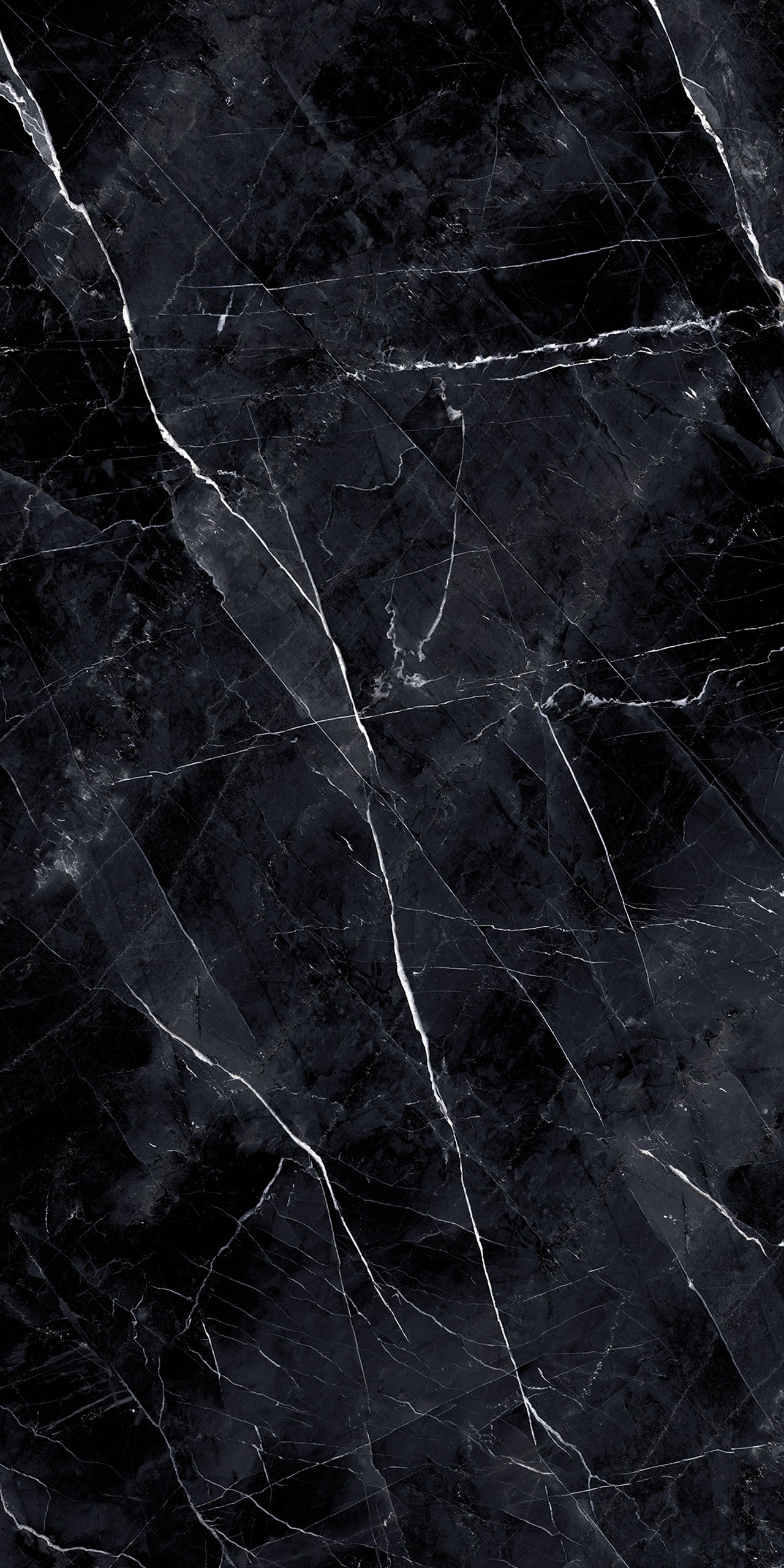 Marmi Calacatta Black (Full Lappato)