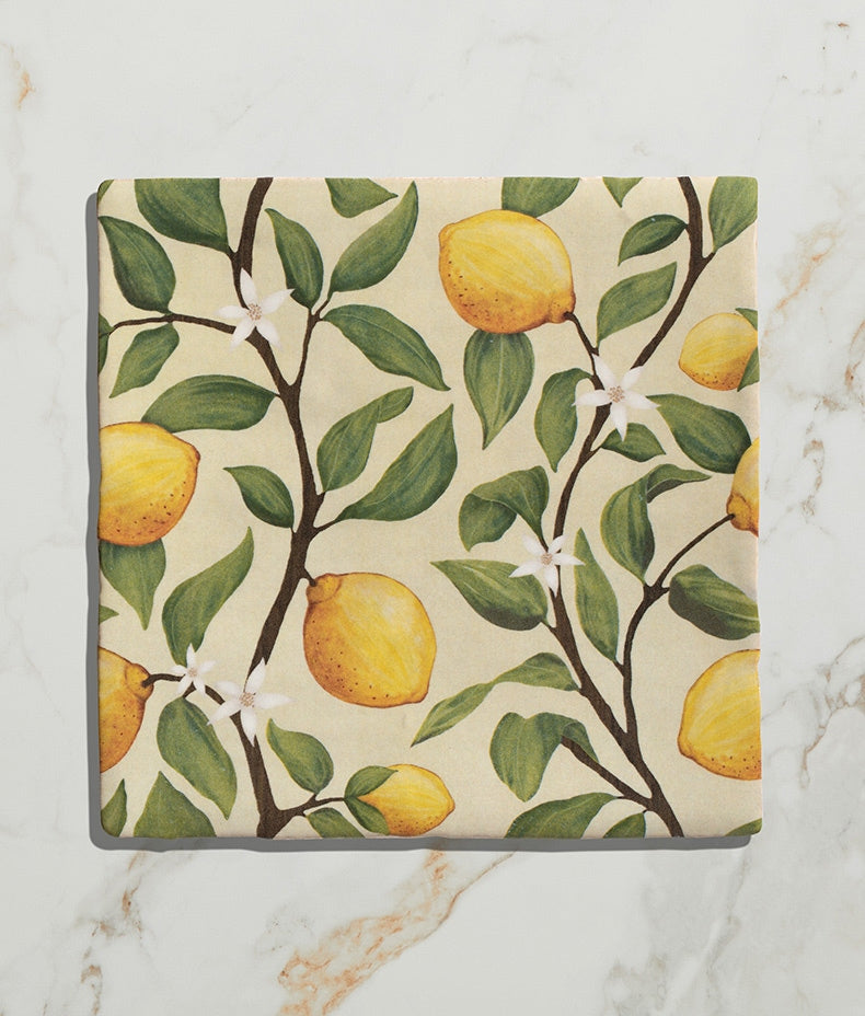 studio-nonna's-kitchen-sorrento-sabbia-gloss-finish