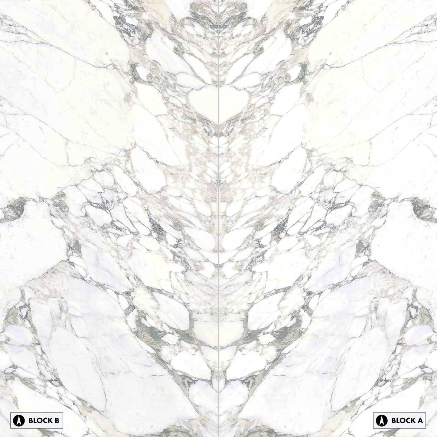 Elementa Arabescato Bookmatched Polished Slab